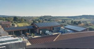 Argiolas e Azimut Zero: un connubio di sostenibilità ed eccellenza vitivinicola