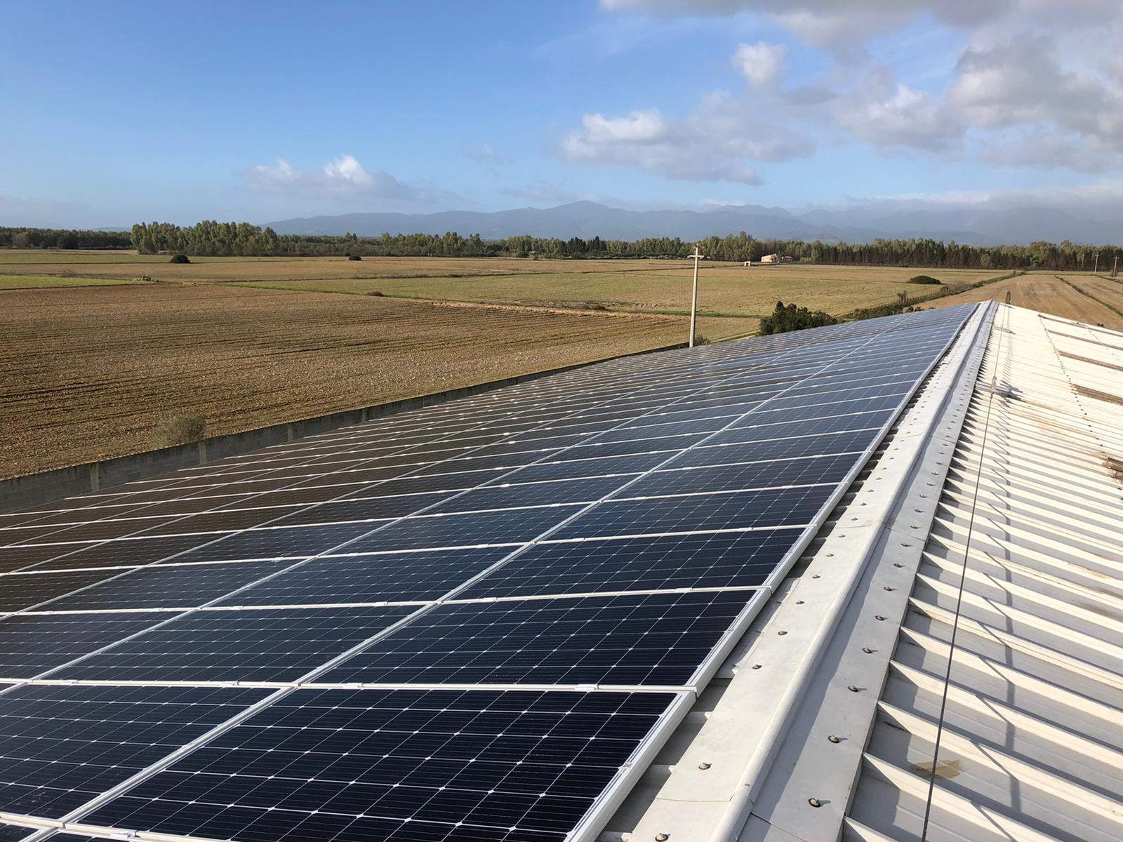 Acqua Federica: tradizione pura che guarda al futuro sostenibile